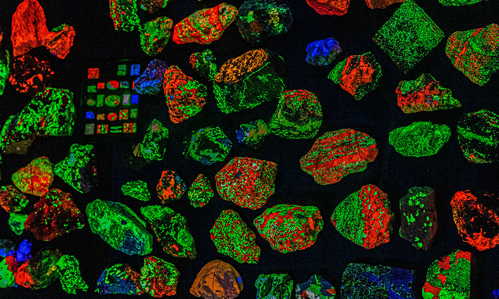 What You’ll Find At The Museum